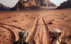 Wadi rum ecco